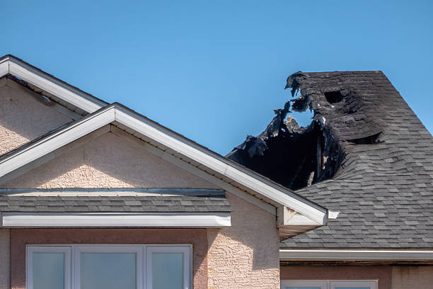 Licensed Odor Removal service in Clearwater Beach, FL - Fire Damage Laser Cleaning